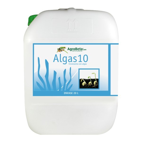 algas-10 20